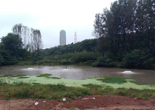 湖南長沙河流黑臭水處理項目