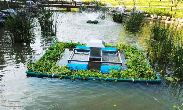 湖北武漢河流黑臭水處理項目